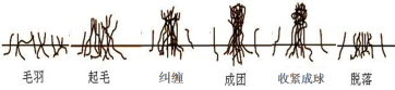 AG一飞冲天(中国区域)官方网站