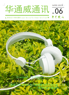 AG一飞冲天2012年6月刊通讯刊-质检汇报