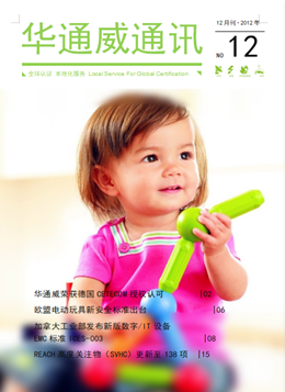 AG一飞冲天2012年12月通讯刊-质检汇报